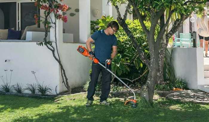 Beneficios del uso del cortabordes