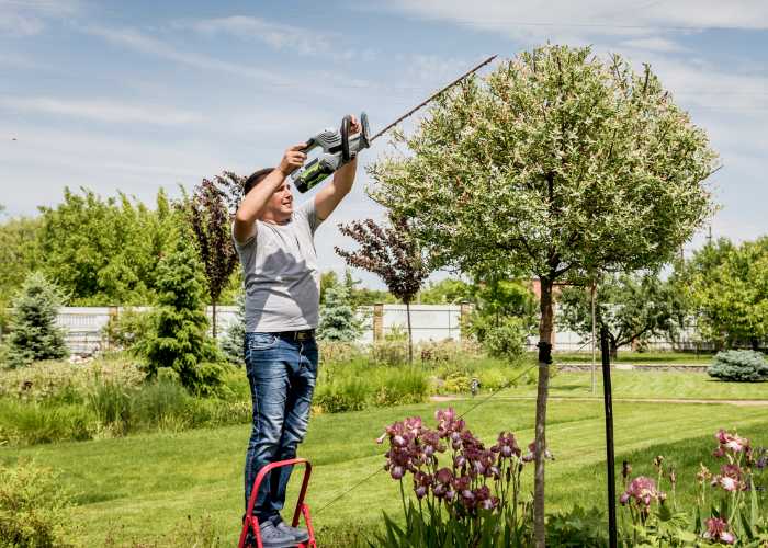 Ergonomía en cortasetos