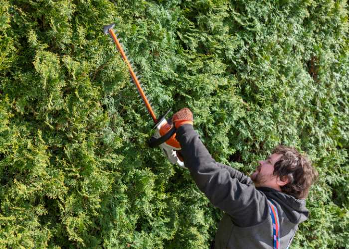 Errores frecuentes con cortasetos