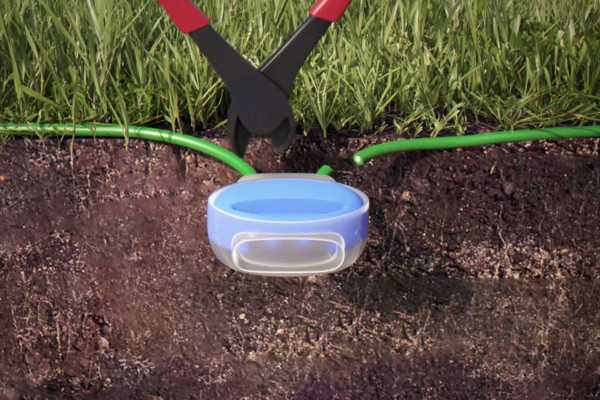 Dónde colocar el cable perimetral correctamente