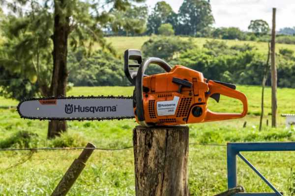 Ajustes básicos tras la limpieza Ajustes básicos tras la limpieza