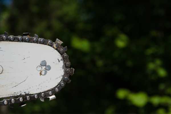 Mantenimiento de motosierra antes del invierno