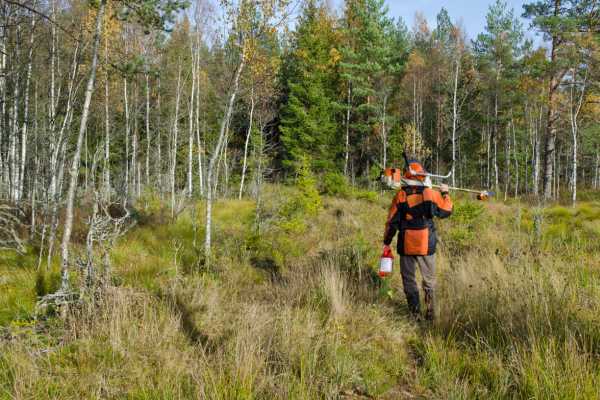 Por qué el otoño es buen momento para trabajar en el monte Por qué el otoño es buen momento para trabajar en el monte
