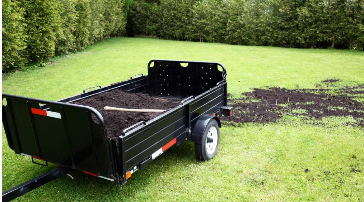 Cuándo recebar el césped y por qué es tan importante hacerlo