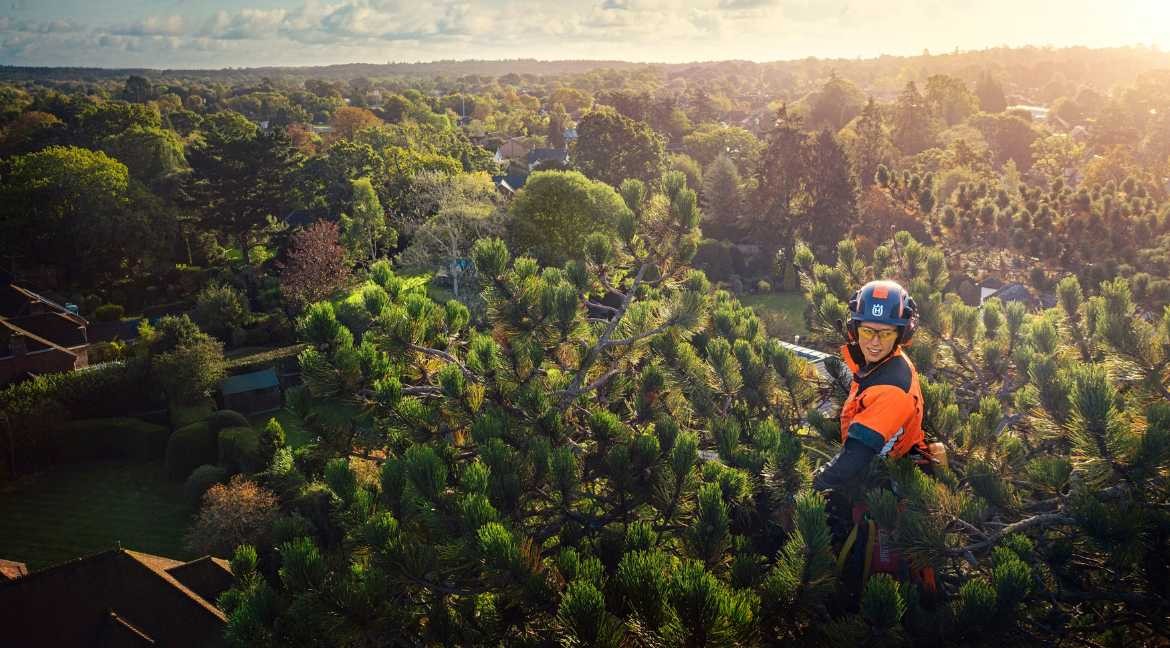 Desbroce y poda en otoño: el checklist definitivo para tu finca