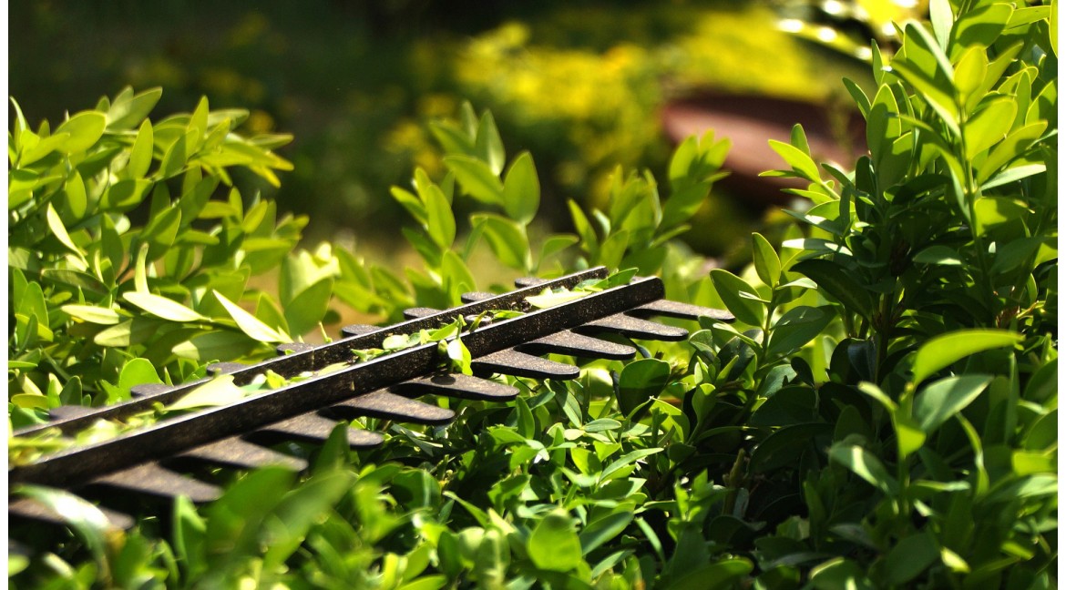 Las herramientas de poda más recomendables